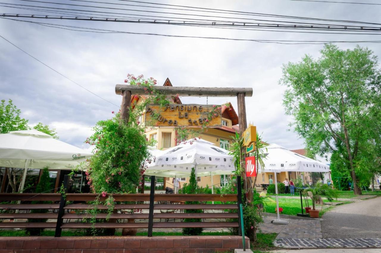 La Padure Pensiune-Restaurant โนวาชิ-สเตรยนี ภายนอก รูปภาพ